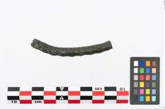 Foto von Bronzearmreif (NHMW-PRAE-026209)